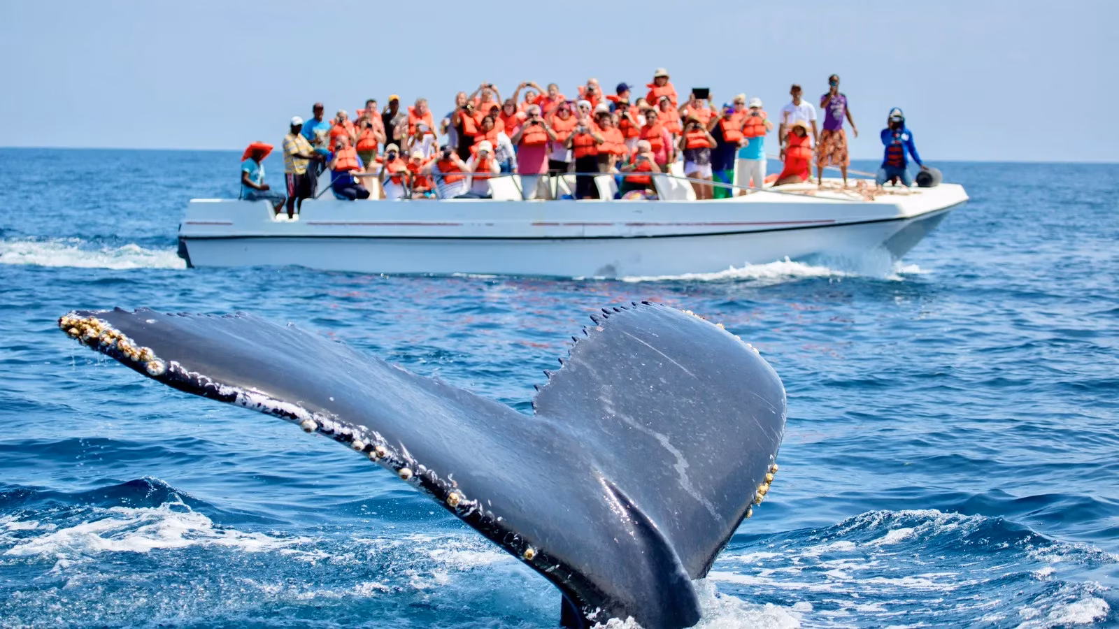 beyond-resorts-unearthing-the-dominican-republic-s-hidden-gems-image-0