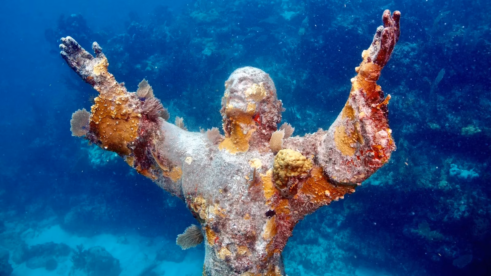 diving-into-florida-s-hidden-underwater-gems-in-2026-image-0