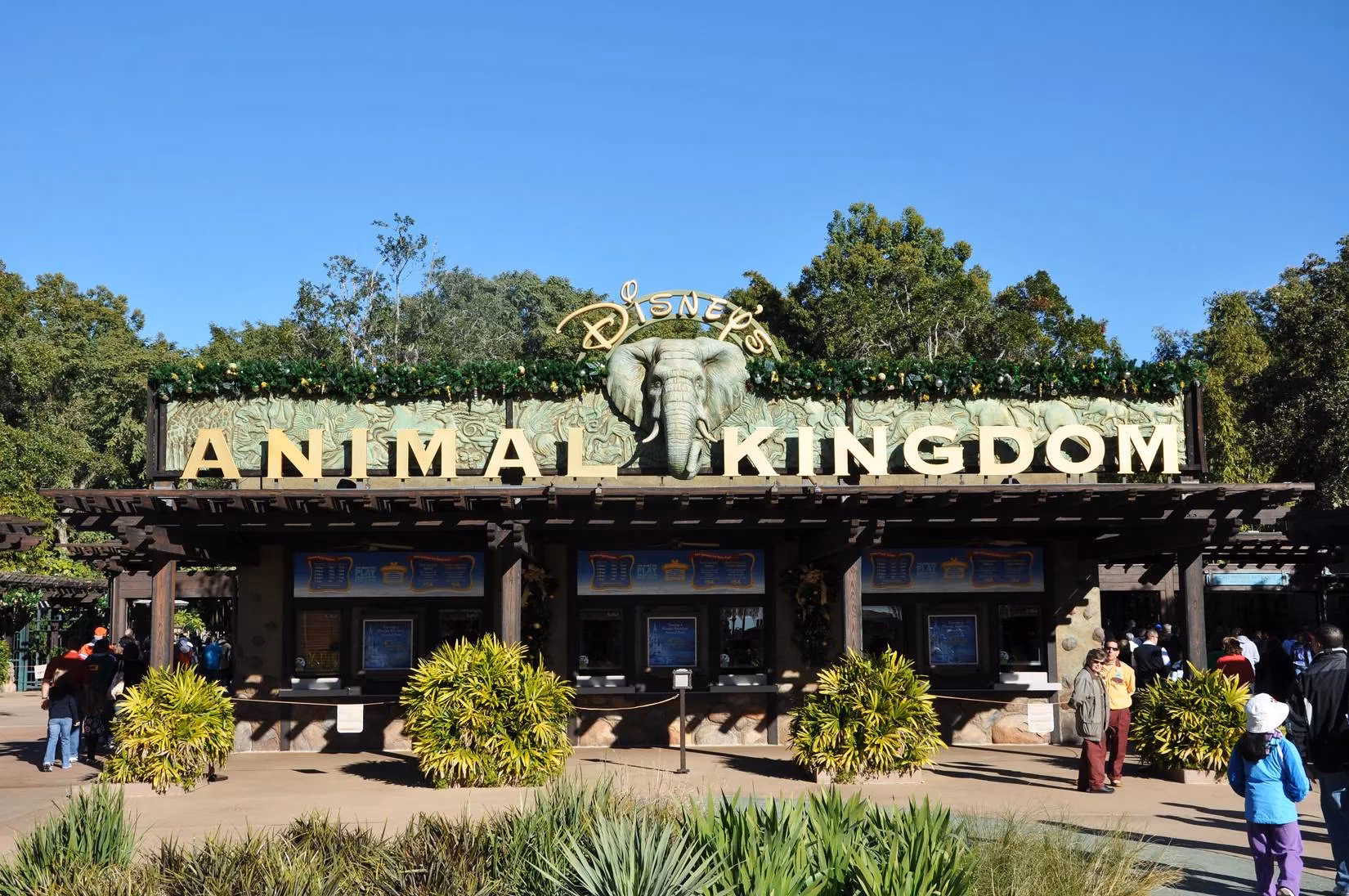 farewell-to-dinoland-usa-a-first-person-reflection-on-change-at-animal-kingdom-image-1