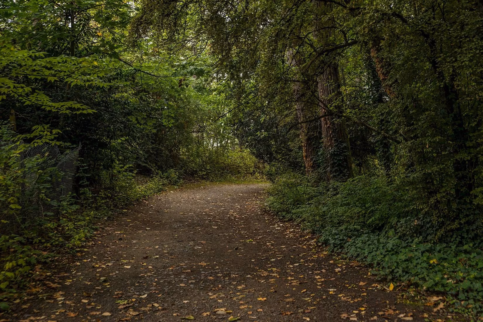 my-2026-guide-to-seattles-9-underrated-hikes-hidden-gems-unlocked-image-0