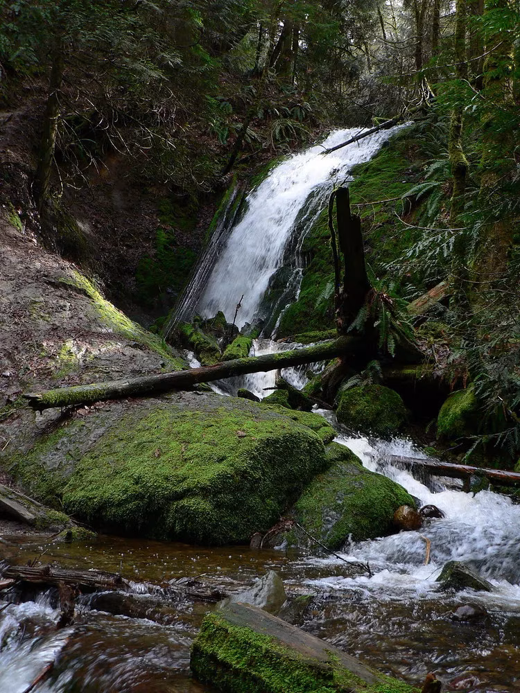 my-2026-guide-to-seattles-9-underrated-hikes-hidden-gems-unlocked-image-1