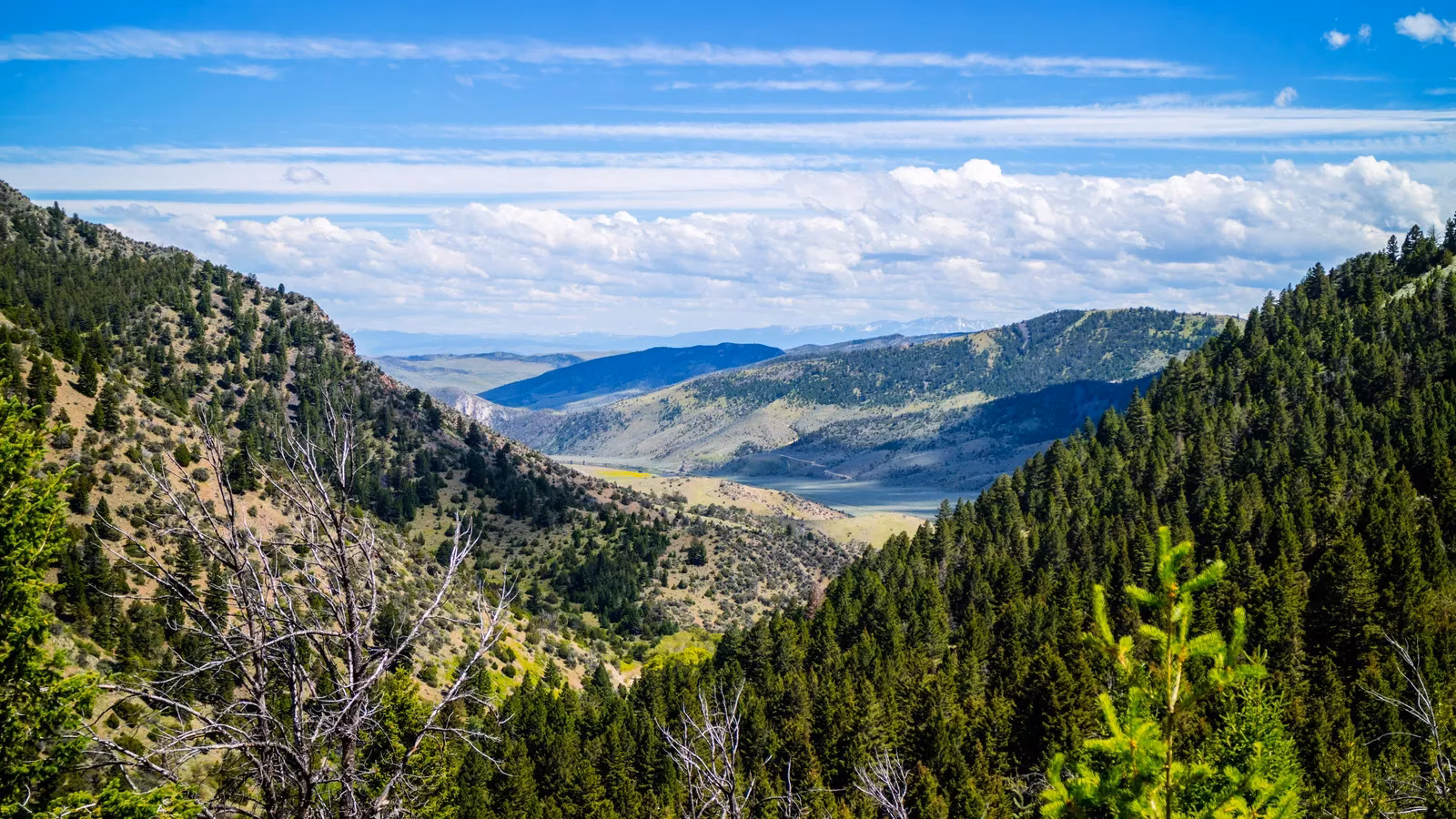 my-epic-underground-odyssey-discovering-montana-s-hidden-world-at-lewis-clark-caverns-image-0