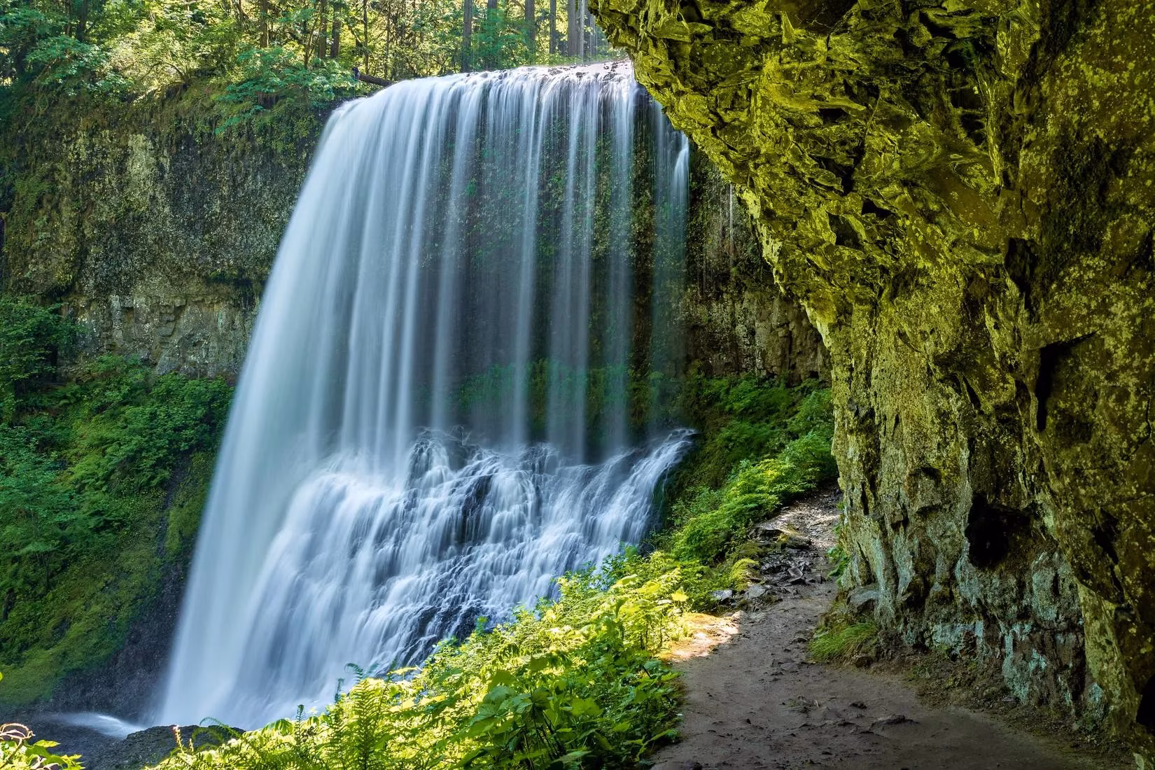 oregon-s-hidden-gem-my-magical-day-at-silver-falls-state-park-image-0