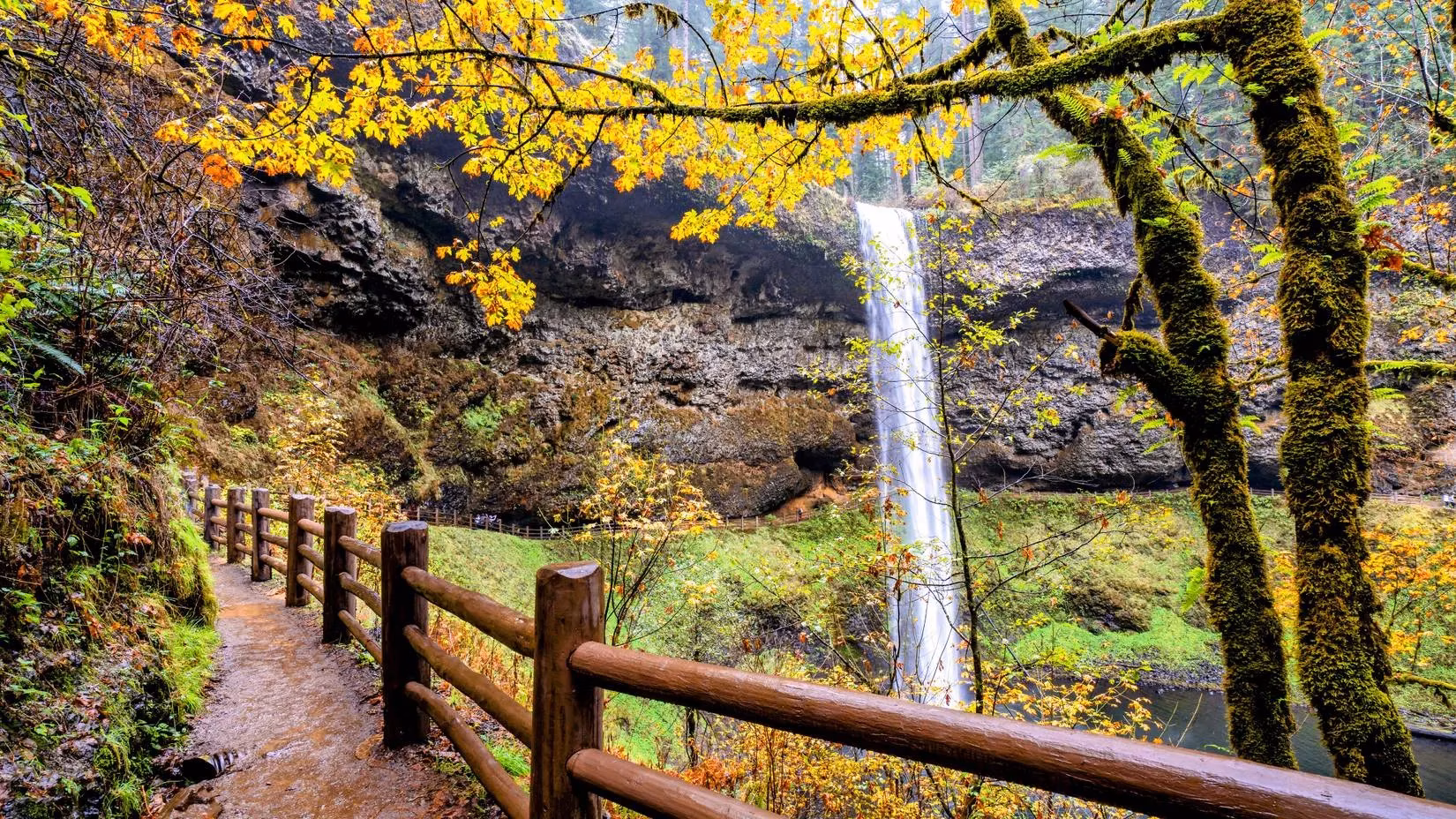 oregon-s-hidden-gem-my-magical-day-at-silver-falls-state-park-image-3