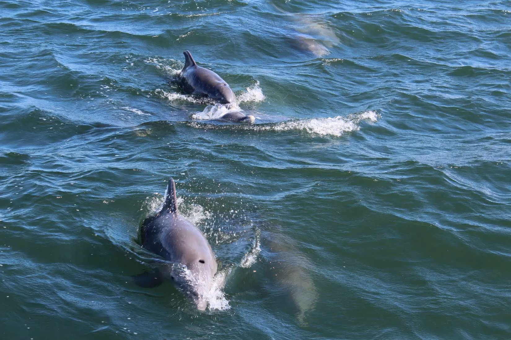 port-aransas-the-laid-back-labor-day-escape-you-need-in-2025-image-2
