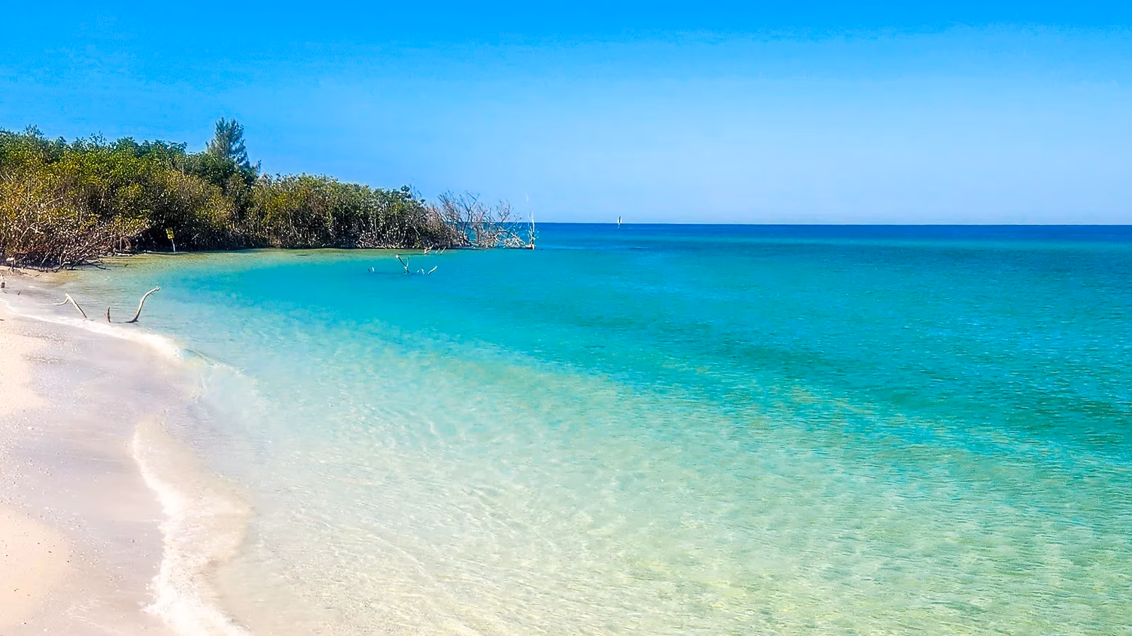 shell-key-preserve-florida-s-pristine-and-undeveloped-barrier-island-sanctuary-image-0