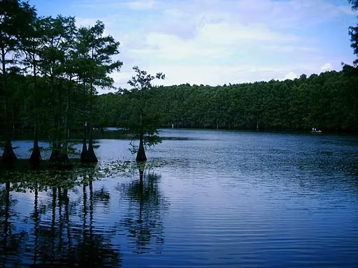 texas-winter-towns-my-2026-guide-to-uncrowded-magic-image-6