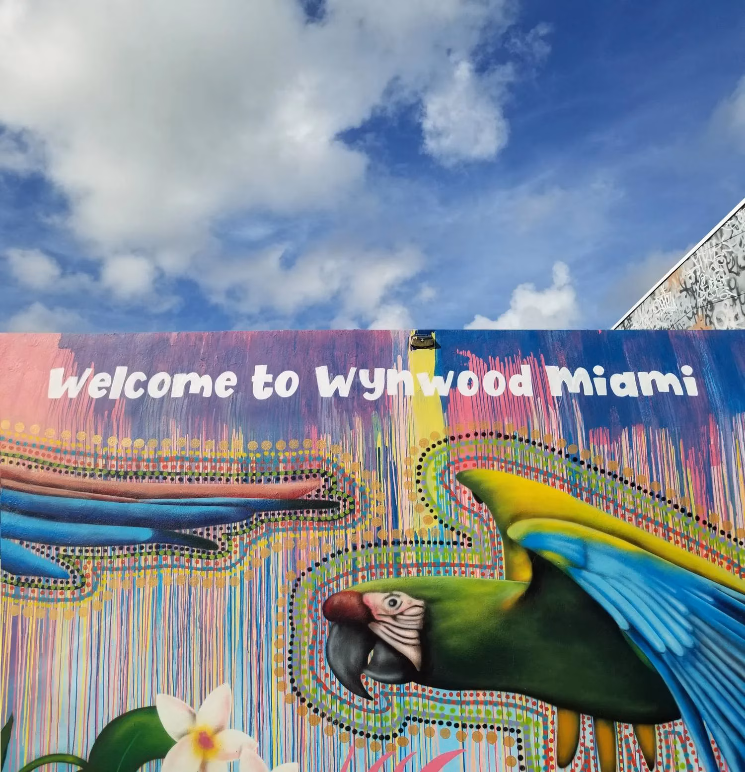 wynwood-art-district-miami-s-vibrant-canvas-of-urban-creativity-image-1